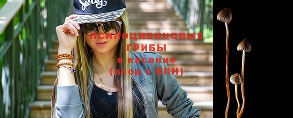 ГАЛЛЮЦИНОГЕННЫЕ ГРИБЫ Балабаново