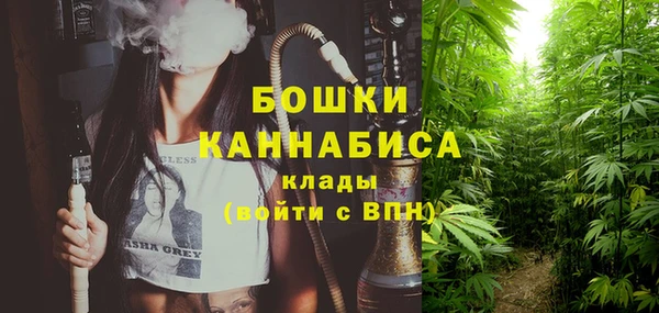 ГАЛЛЮЦИНОГЕННЫЕ ГРИБЫ Балабаново