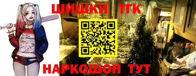 МДПВ Тула