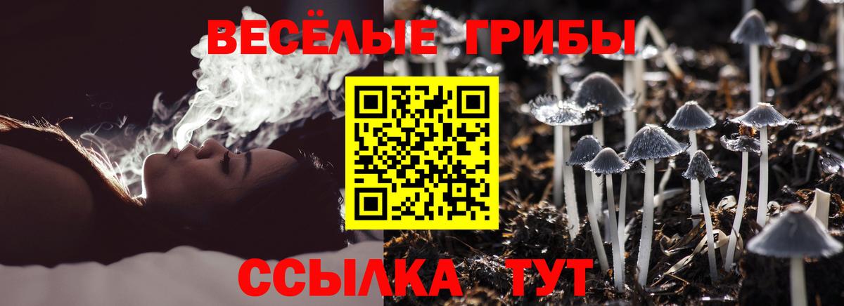 Галлюциногенные грибы Psilocybine cubensis Обь